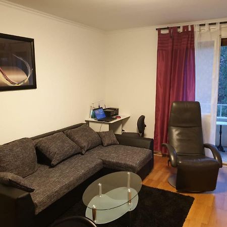 Breite Familien Apartment Basel Dış mekan fotoğraf