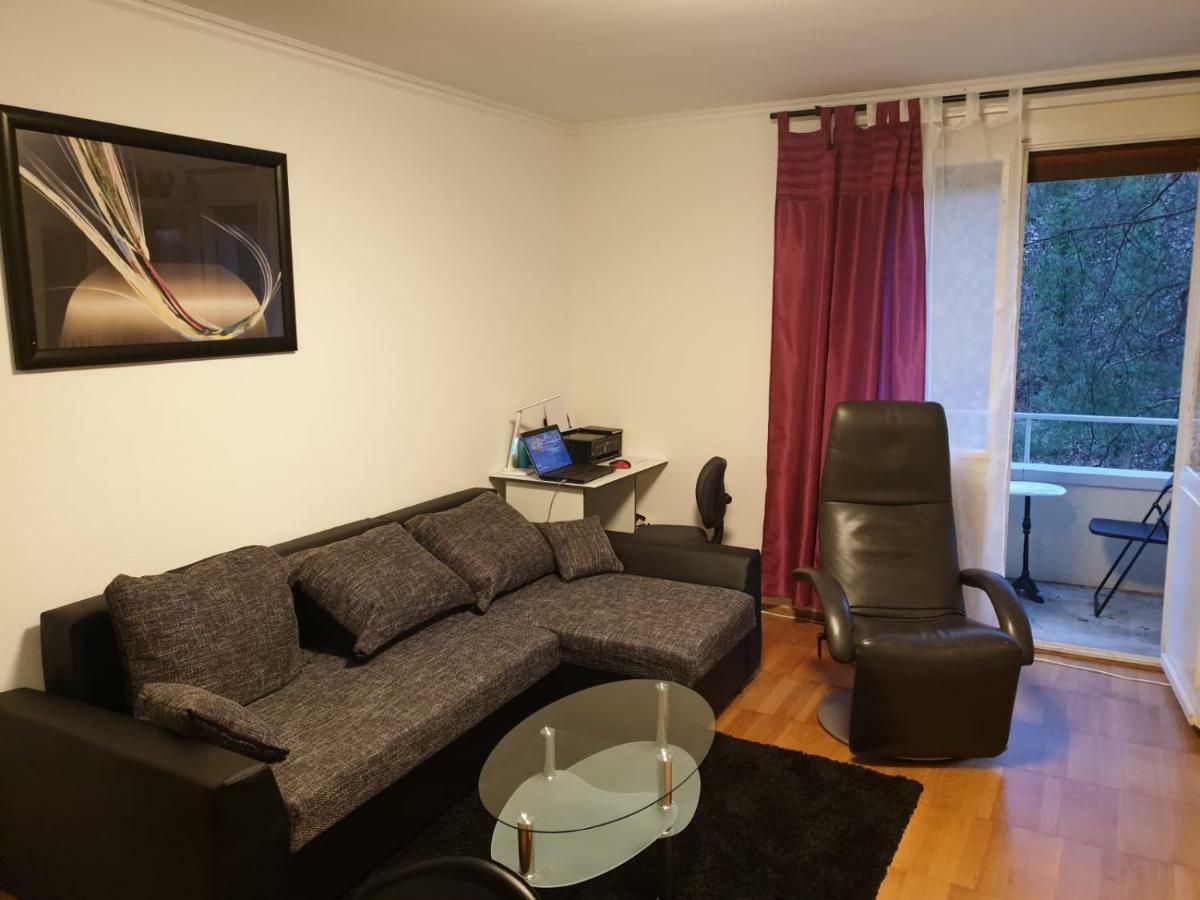 Breite Familien Apartment Basel Dış mekan fotoğraf