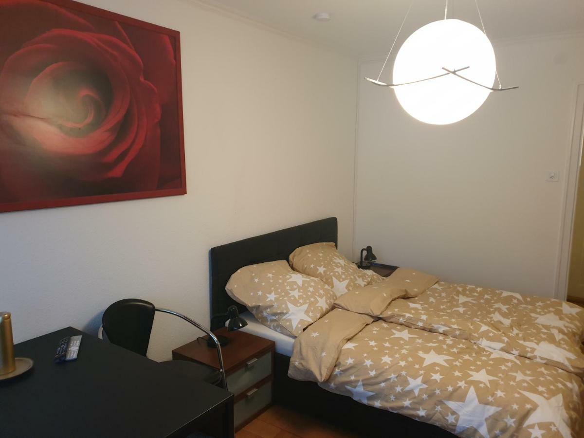 Breite Familien Apartment Basel Dış mekan fotoğraf